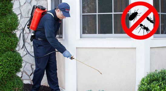 Akçakent Kene İlaçlama böcek ilaçlama ve haşere kontrolü — ilaclama-tr.com